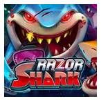 pg slot shark